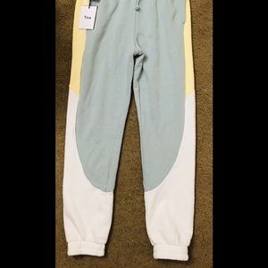 NWT Aritzia Sweatpants